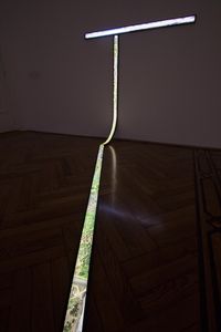 Esteban Pastorino, Lightbox installation, 2020